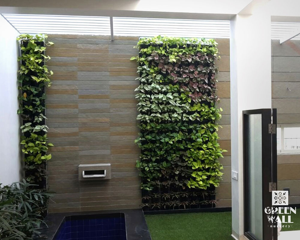 Living Wall Systems