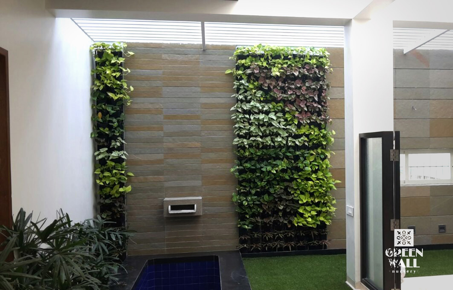 living Green walls, Living wall nursery, living wall systems